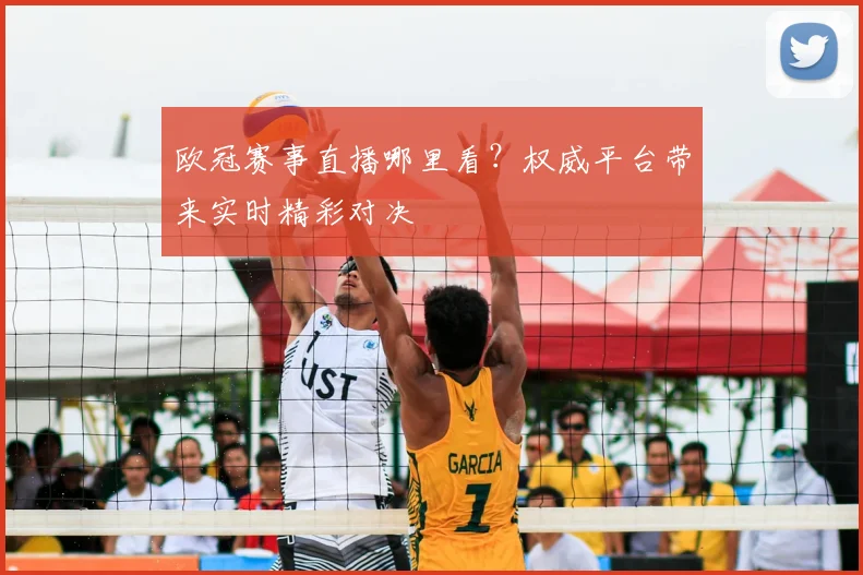 欧冠赛事直播哪里看？权威平台带来实时精彩对决