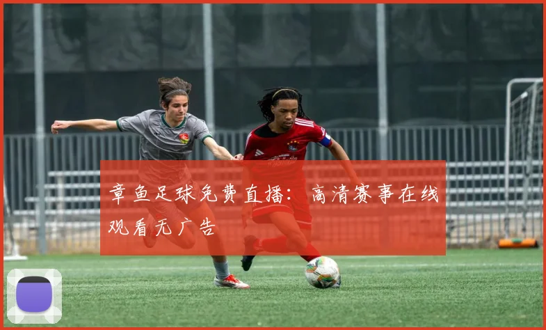 章鱼足球免费直播：高清赛事在线观看无广告
