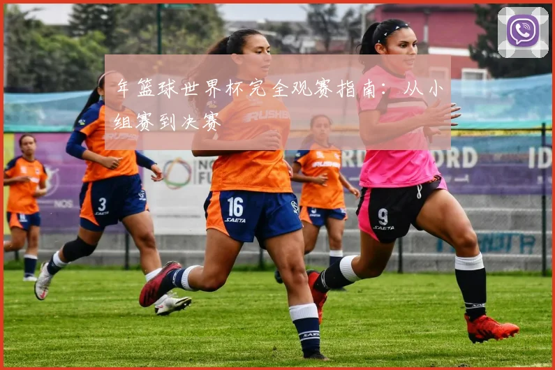 年篮球世界杯完全观赛指南：从小组赛到决赛