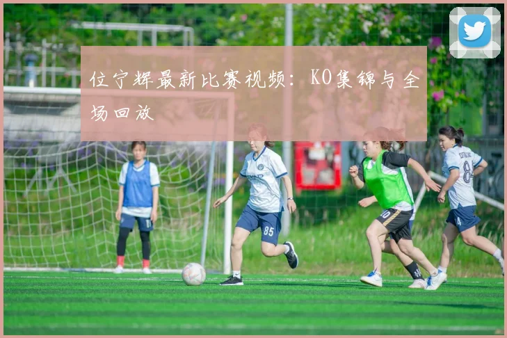 位宁辉最新比赛视频：KO集锦与全场回放