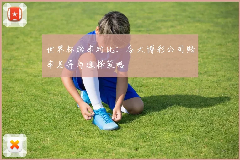 世界杯赔率对比：各大博彩公司赔率差异与选择策略